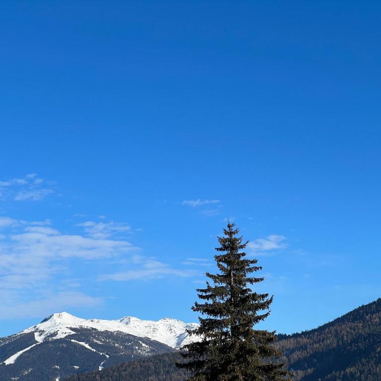 Guesthouse Rosengarten - Appartamento - 7