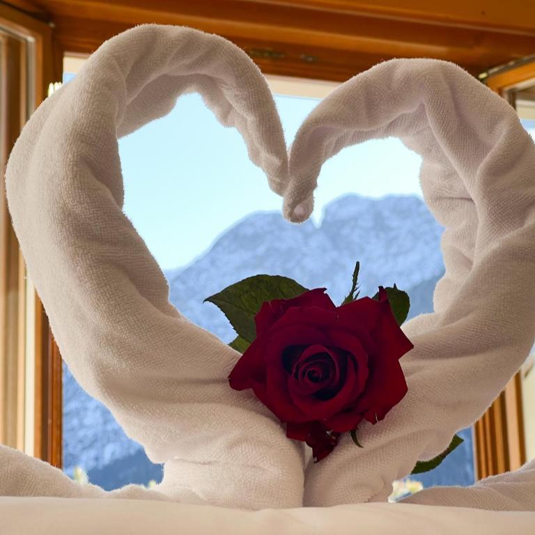 Guesthouse Rosengarten - Casa Vacanze - 14