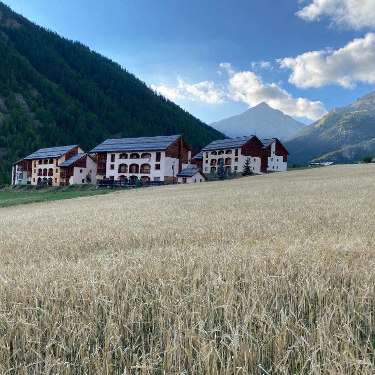 Les Granges d’Arvieux - Queyras - Appart 3ch./6p. - Appartement 3 Chambres - 2