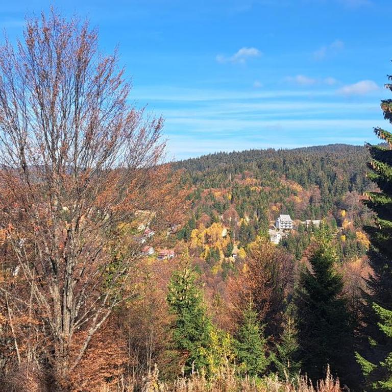 A2Kopaonik newly built apartments - Apartman - 10