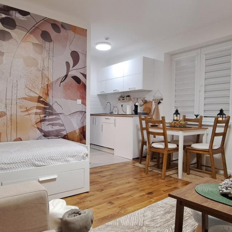 A2Kopaonik newly built apartments - Apartman - 11