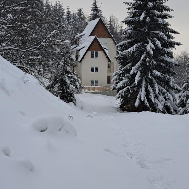 A2Kopaonik newly built apartments - Apartman - 31