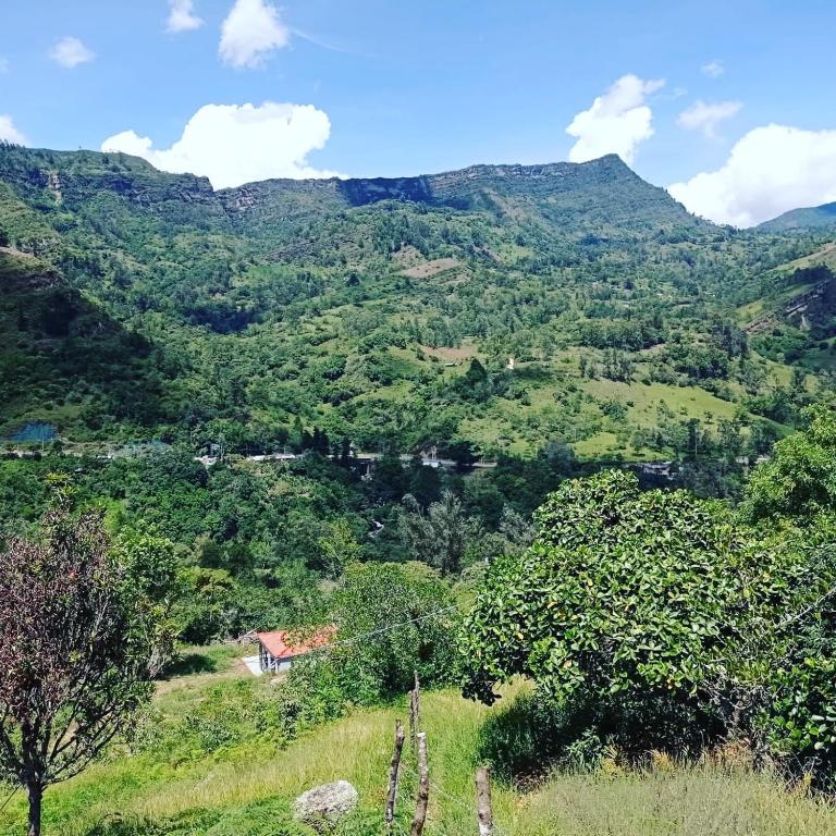 Glamping Villa Transito - Bungalow Deluxe - 13