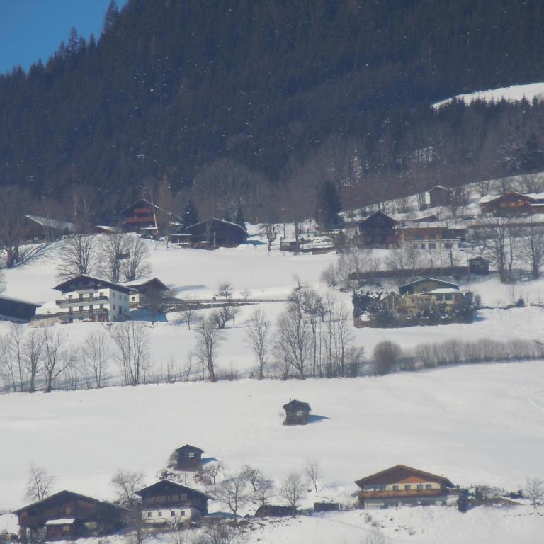 Areithof - Apartment mit 1 Schlafzimmer und Balkon - 64