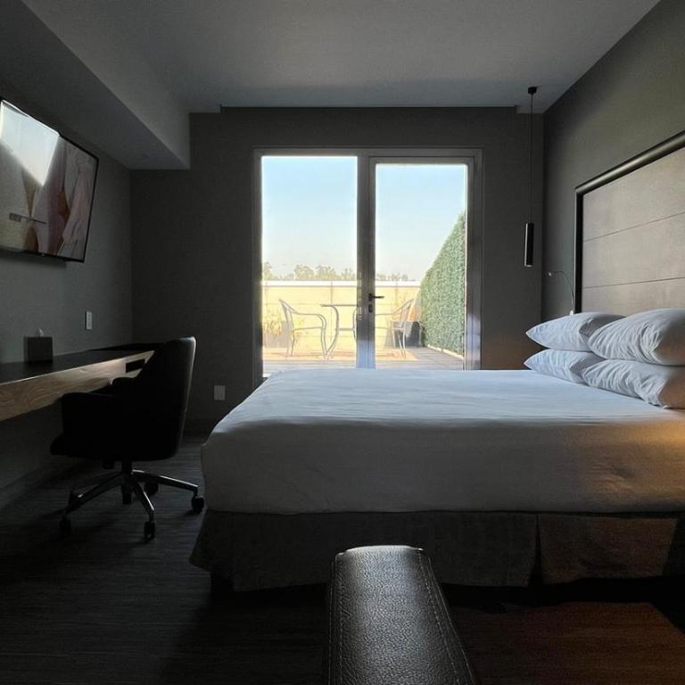 Ramada by Wyndham Mexico City Santa Fe - 1 King Bed, Suite Terrace, Non-Smoking - 9