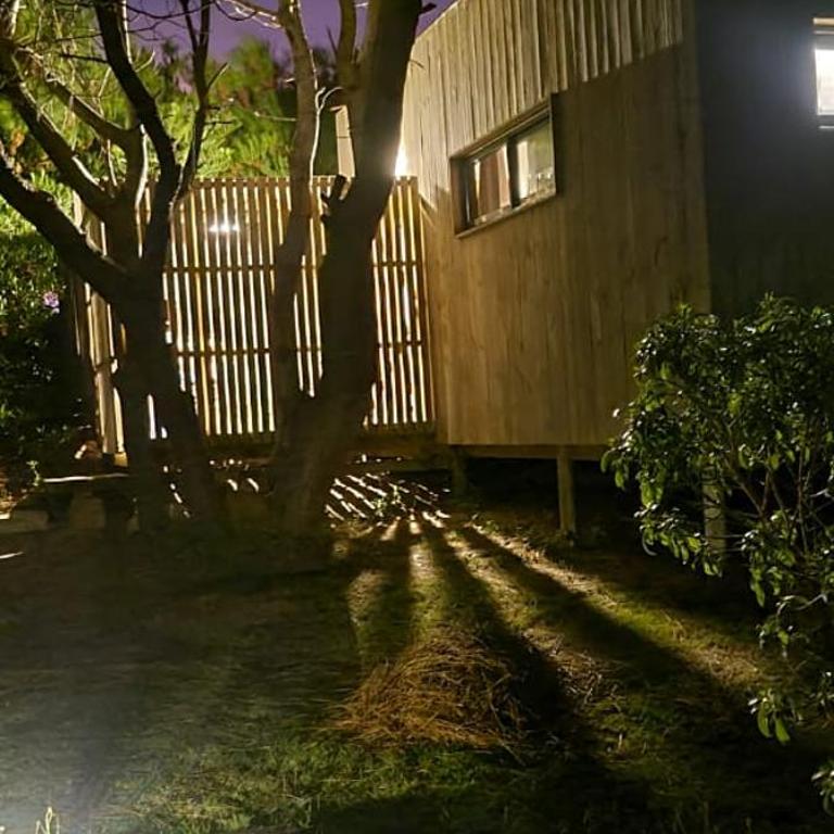 La del Pino - One-Bedroom Apartment - 2