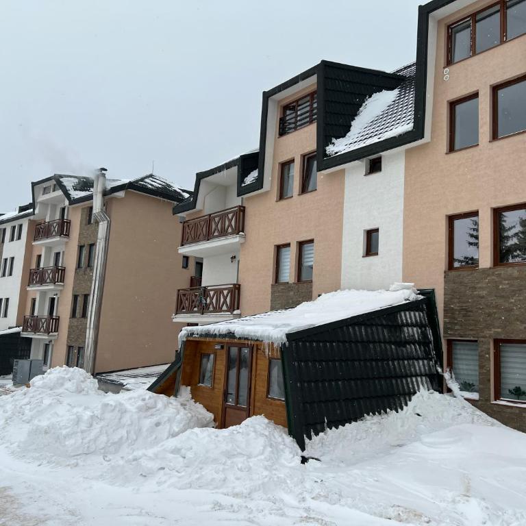 Sunčani Breg Resort&Spa Kopaonik, Apartman broj 409 - One-Bedroom Apartment - 9