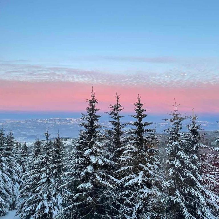 Sunčani Breg Resort&Spa Kopaonik, Apartman broj 409 - One-Bedroom Apartment - 8