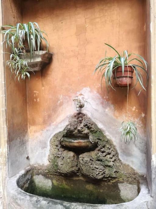 Apartment in a 1400s building in Via dei Coronari Piazza Navona - One-Bedroom House - 35