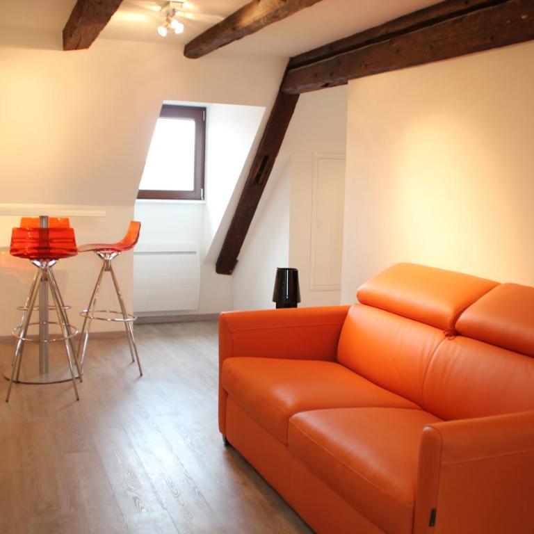 A L'ill - Apparts & Studios Strasbourg Hyper Centre - Appartamento Monolocale con Vista Fiume - 6