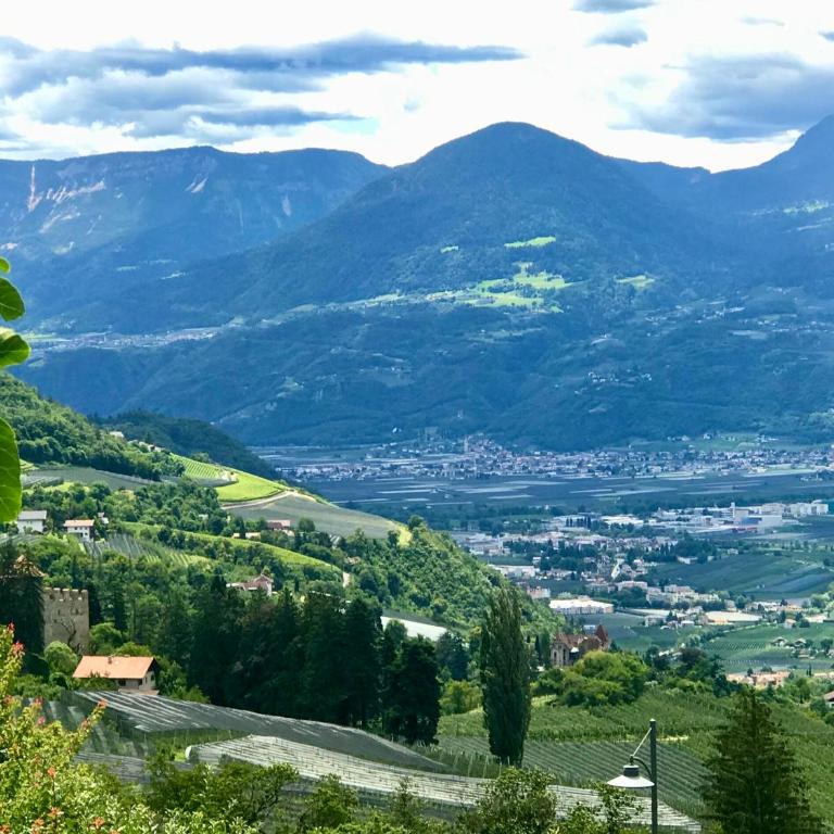 Pension Chalet Andy - Studio with Panoramic view - 4
