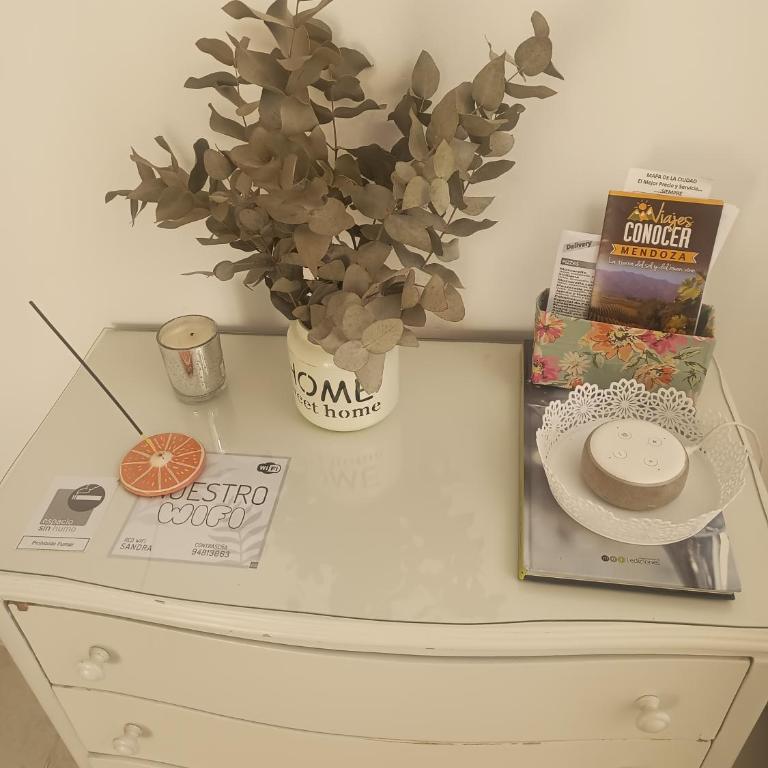 Hermoso Departamento en la Ciudad de Mendoza. - Apartamento de 2 dormitorios - 4