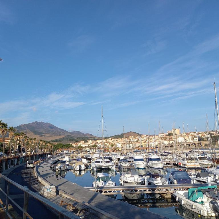 "Villa Llum i Mar", au coeur de Banyuls sur mer, 3 chambres avec climatisation, 2 SDB, garage,6 personnes, classée 3 étoiles - Villa 3 Chambres - 6