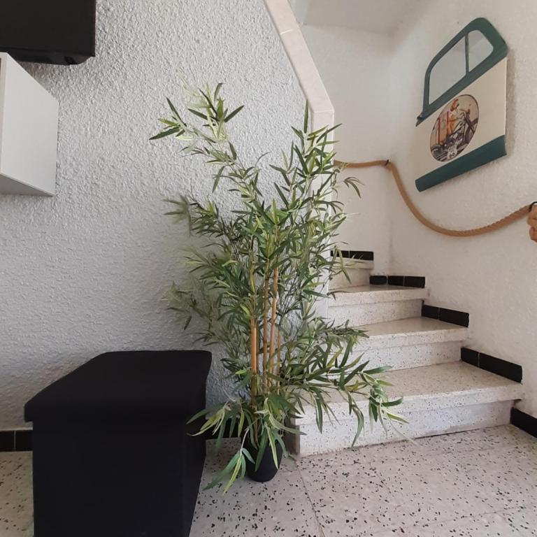 Maison de plage ambiance rock et zen - Casa con 2 Camere da Letto - 5