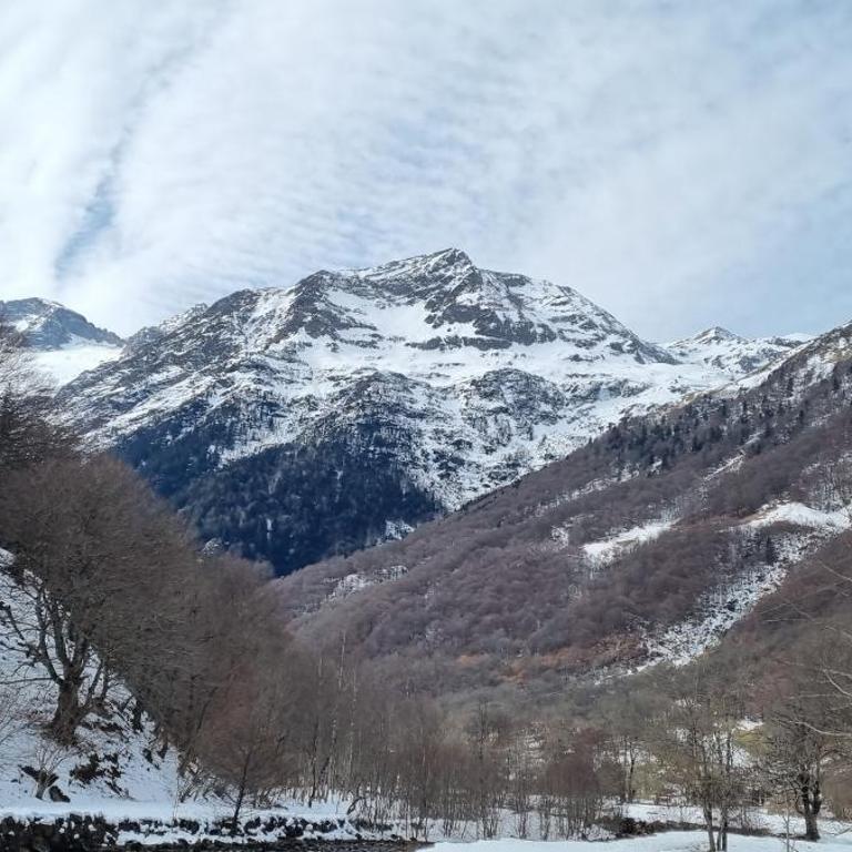 Le Louchonnais, T2, wifi, 4 personnes - Apartment with Mountain View - 33