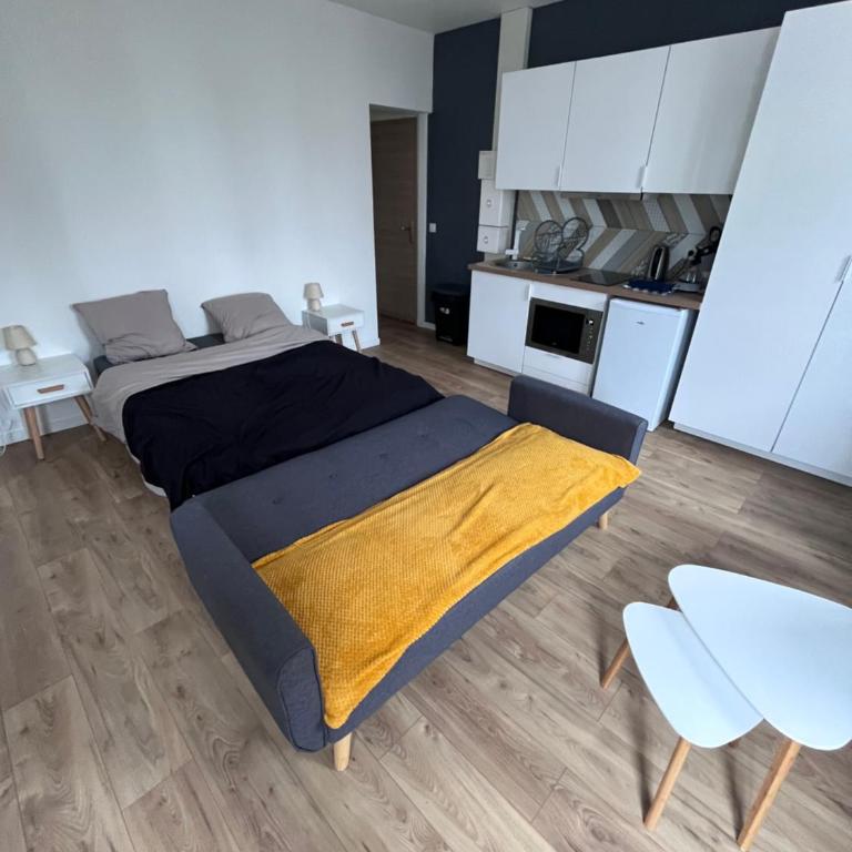 Le Lumineux - Appartement 1 Chambre - 13
