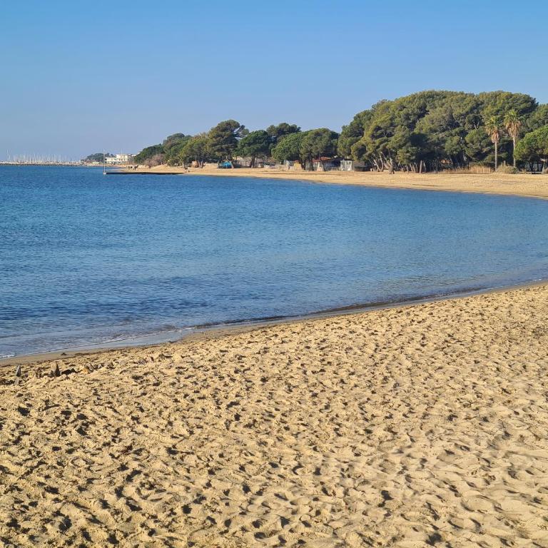 Petit coin de paradis les pieds dans l’eau - Appartement 1 Chambre - 12