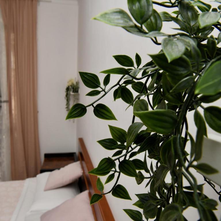 Hotel Anacapri - Camera Standard Matrimoniale/Doppia con Letti Singoli - 9