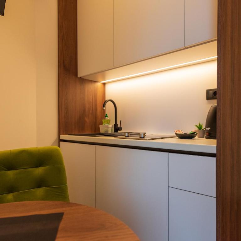 Apartments EMERALD Free Garage Parking - Studio s Pogledom na Vrt - 4
