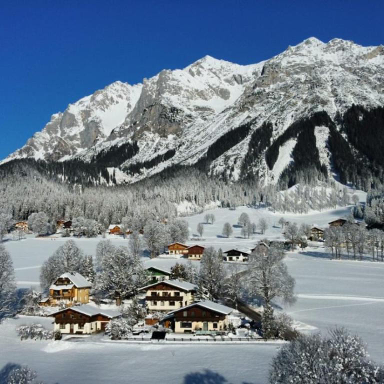 Strasser´s Mountain Home - Apartment - Erdgeschoss - 16