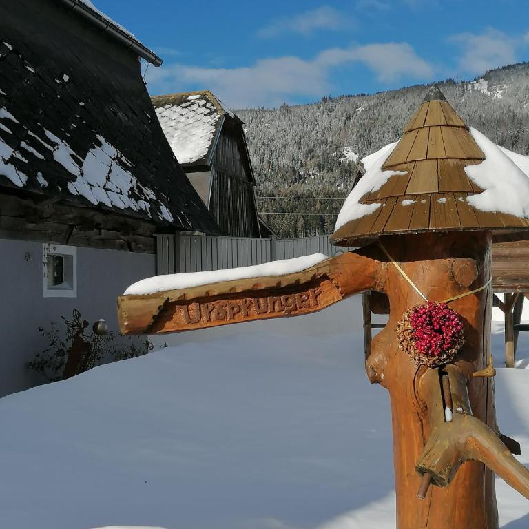 Ursprunghof - Appartement 2 Chambres - 21