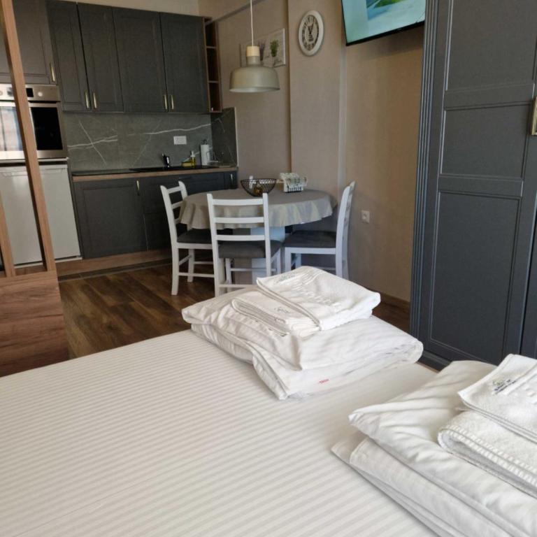 President Kop Apartman Milica - Apartman - 16