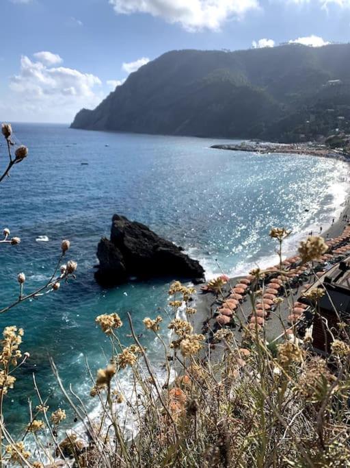 Historic Downtown Home By The Sea With King Bed - Appartamento con 2 Camere da Letto - 12