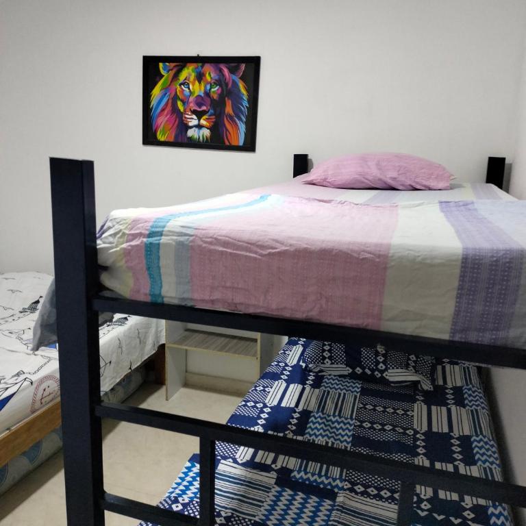 Habitaciones y apartamento fania - Apartamento de 2 dormitorios - 1