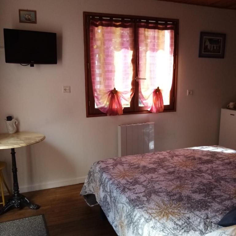 Sous les mimosas - Chambre Double - Vue sur Jardin - 2