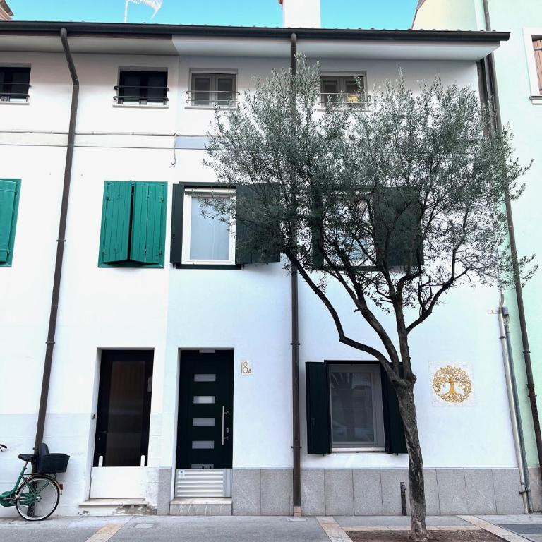 Marchesini Apartments - Appartamento - Piano Terra - 1