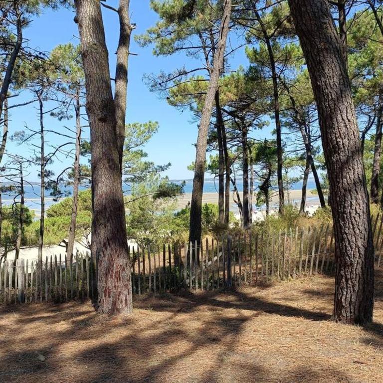 CHEZ CED - Gujan-Mestras / Bassin d'Arcachon - Maison 3 Chambres - 17