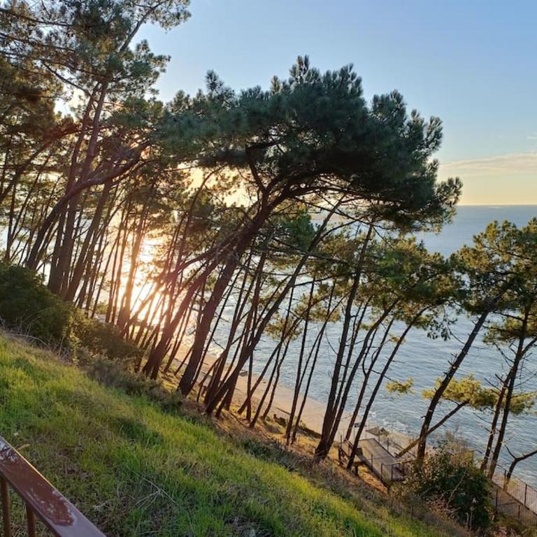 CHEZ CED - Gujan-Mestras / Bassin d'Arcachon - Maison 3 Chambres - 28
