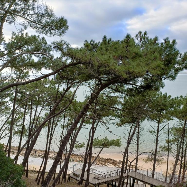 CHEZ CED - Gujan-Mestras / Bassin d'Arcachon - Maison 3 Chambres - 33
