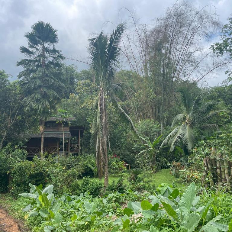 Caoni riverside Lodge - Casa de 4 dormitorios - 3