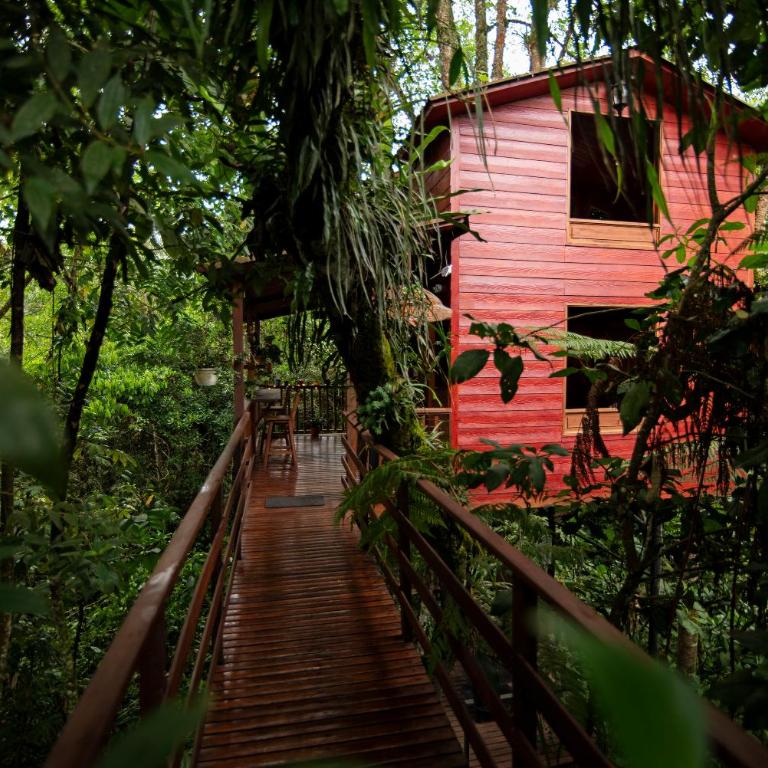Tominejo Ecolodge - Casas en los árboles - Casa Unifamiliar de 2 dormitorios - 6