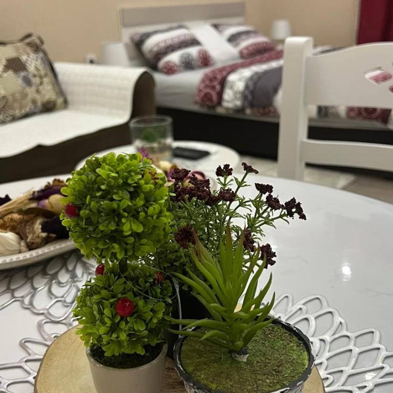 Apartment Downtown - One-Bedroom Apartment - 12