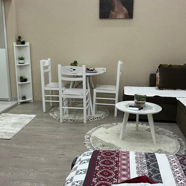 Apartment Downtown - One-Bedroom Apartment - 22