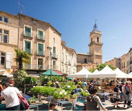 Mes à Moi in Pezenas - Studio Climatisé & Patio Privatif - O Pitchoun - Appartement 1 Chambre - 51