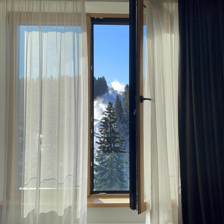 Woodside Kopaonik & SPA by Slopeview - One-Bedroom Apartment - 24