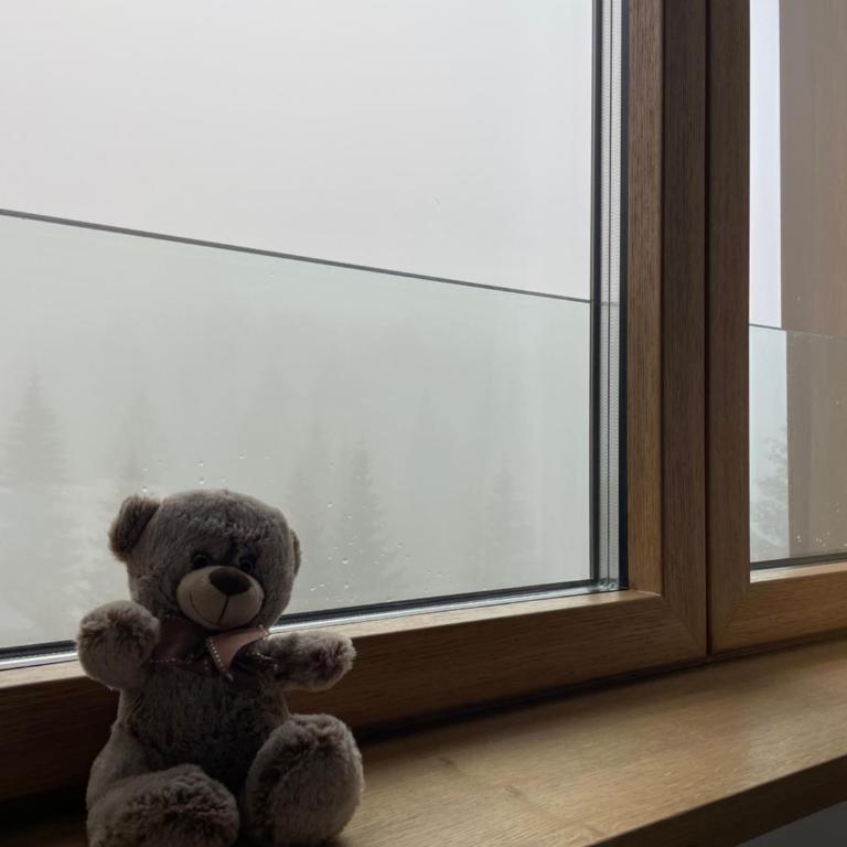 Woodside Kopaonik & SPA by Slopeview - One-Bedroom Apartment - 25