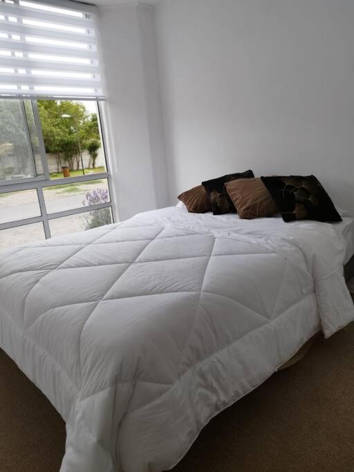 Depto. Cond Reinos Franco - Three-Bedroom Apartment - 14