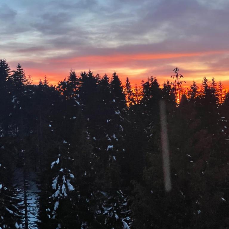 Woodside Kopaonik & SPA by Slopeview - One-Bedroom Apartment - 34