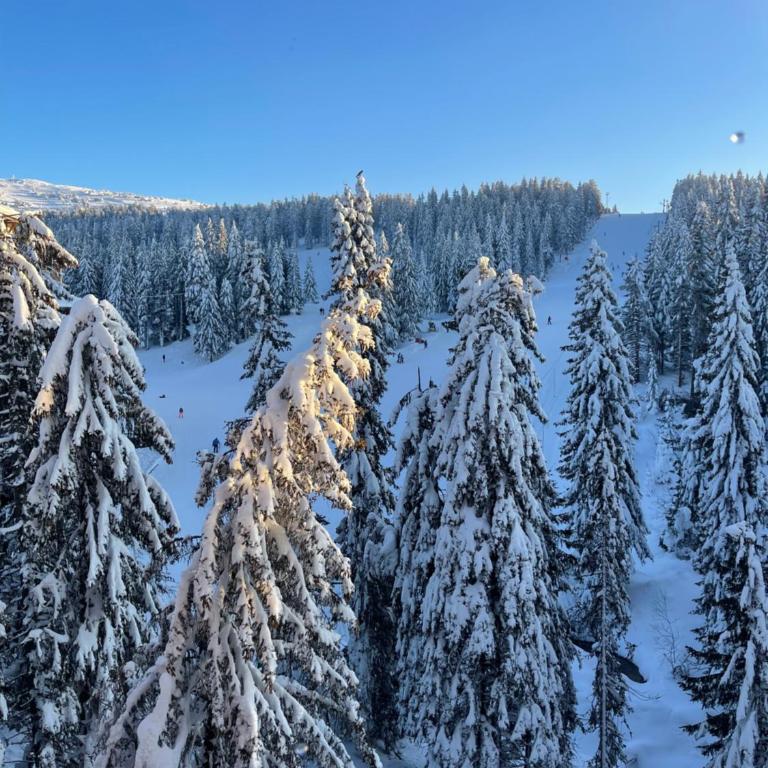 Woodside Kopaonik & SPA by Slopeview - One-Bedroom Apartment - 33