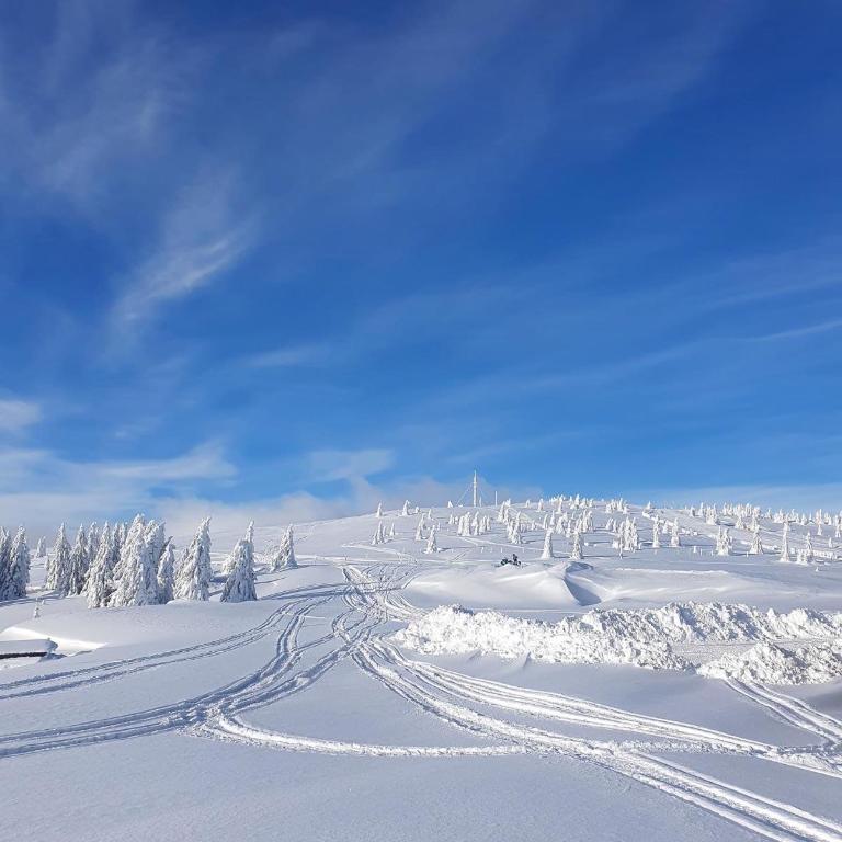Woodside TEA Residences & SPA Kopaonik - One-Bedroom Apartment - 55