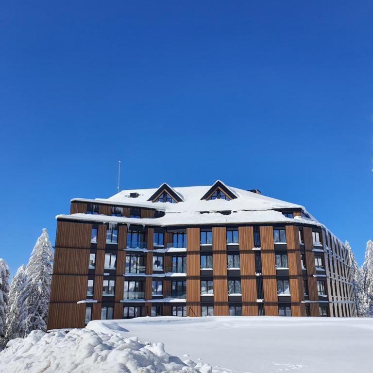 Woodside TEA Residences & SPA Kopaonik - One-Bedroom Apartment - 54