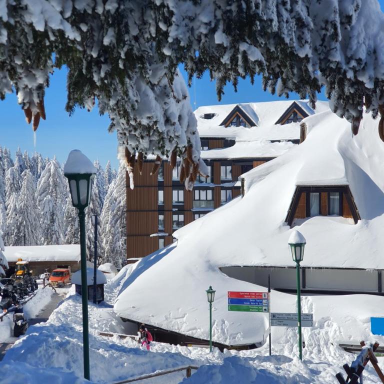 Woodside TEA Residences & SPA Kopaonik - One-Bedroom Apartment - 56