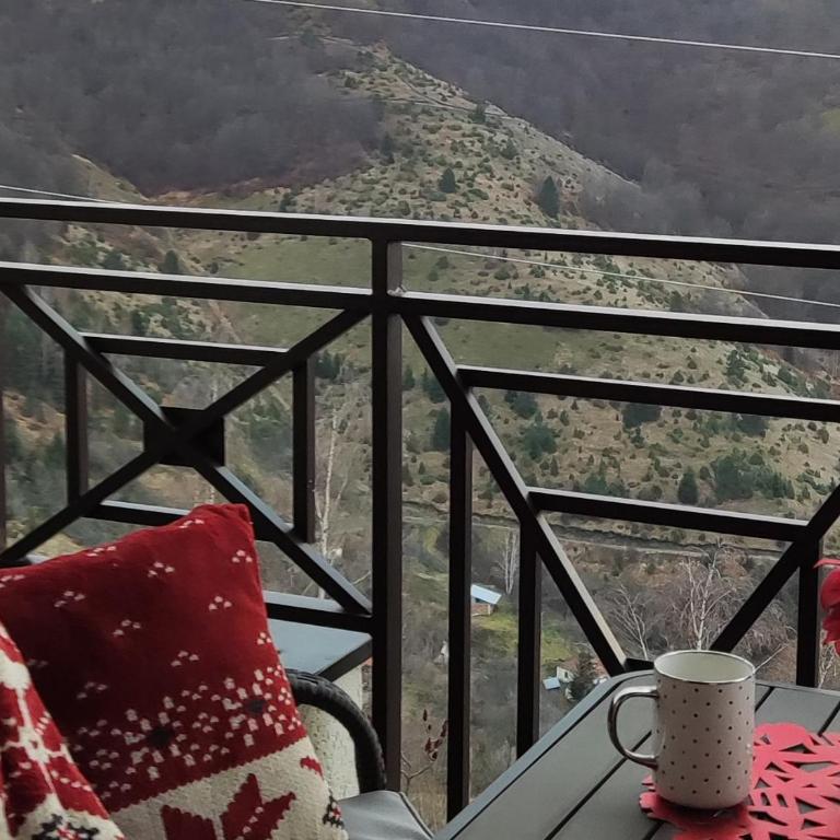 Apartman Sunset Milmari Kopaonik M10 - Apartment with Mountain View - 11