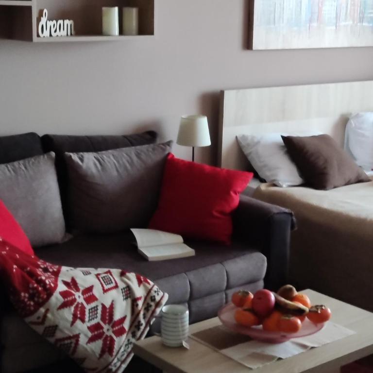 Apartman Sunset Milmari Kopaonik M10 - Apartment with Mountain View - 9