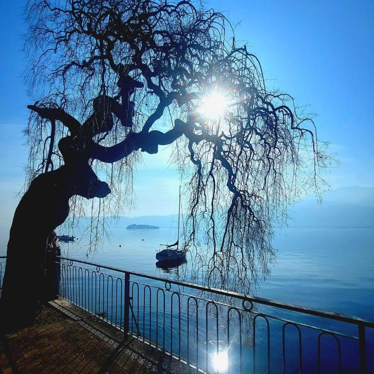 Suite bijoux On Lake Maggiore - Appartamento Deluxe - 82