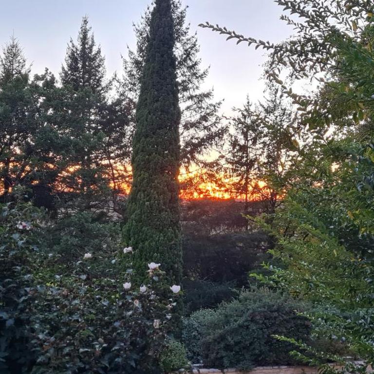 L'écrin de Sarlat - Villa - 49